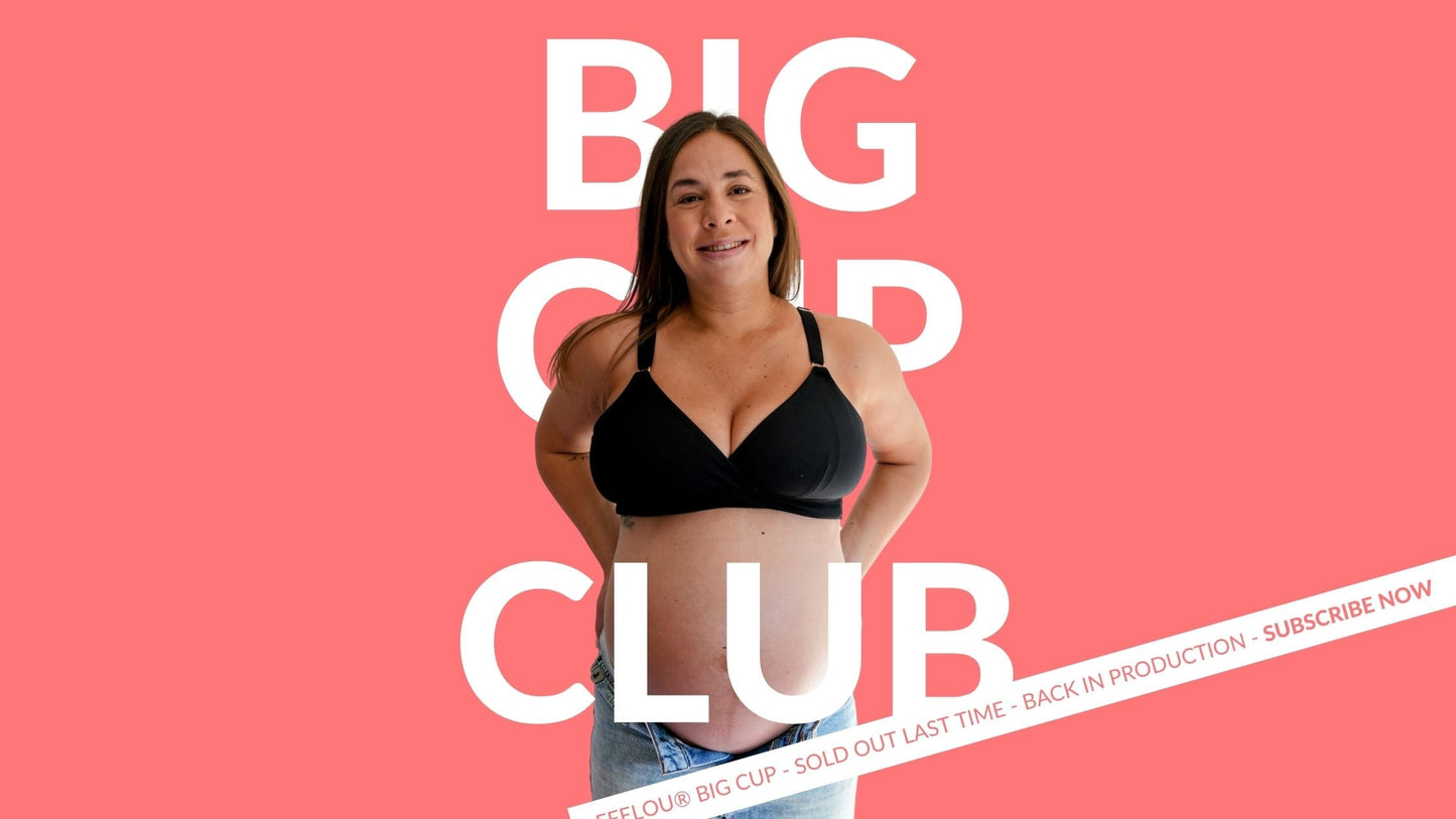 nursing bra big cup