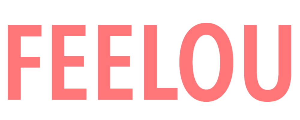 Logo Feelou header